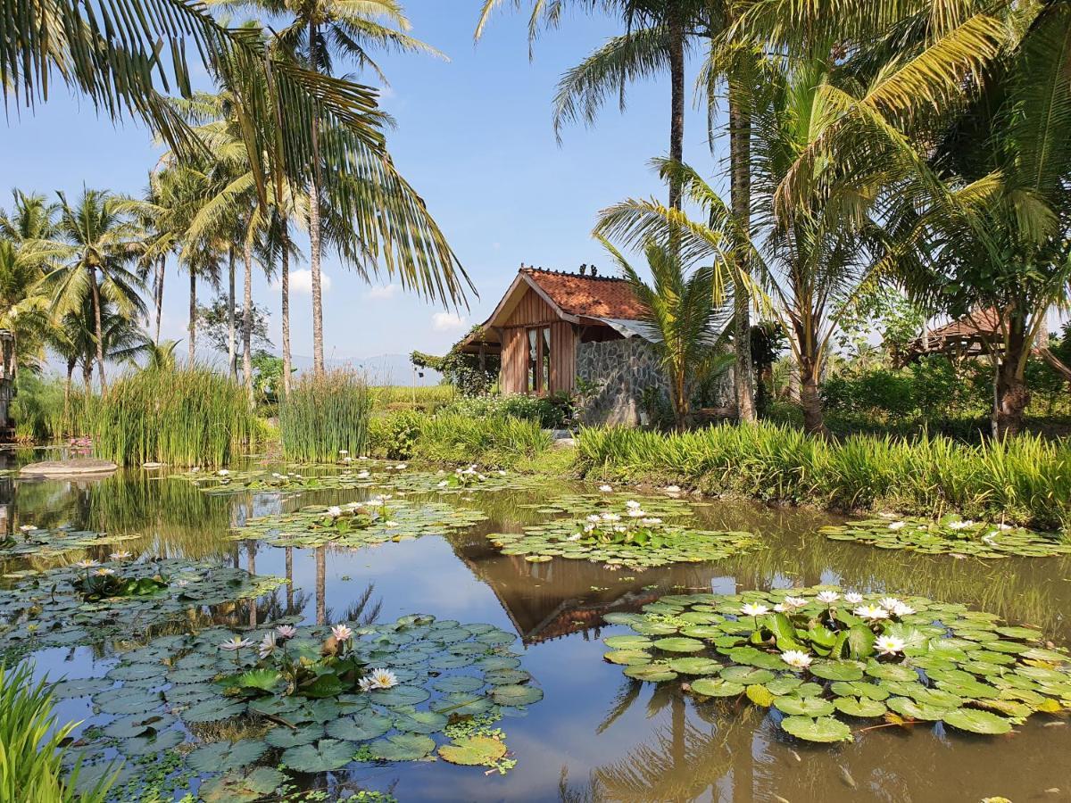 Borobudur Bed & Breakfast 마겔랑 외부 사진