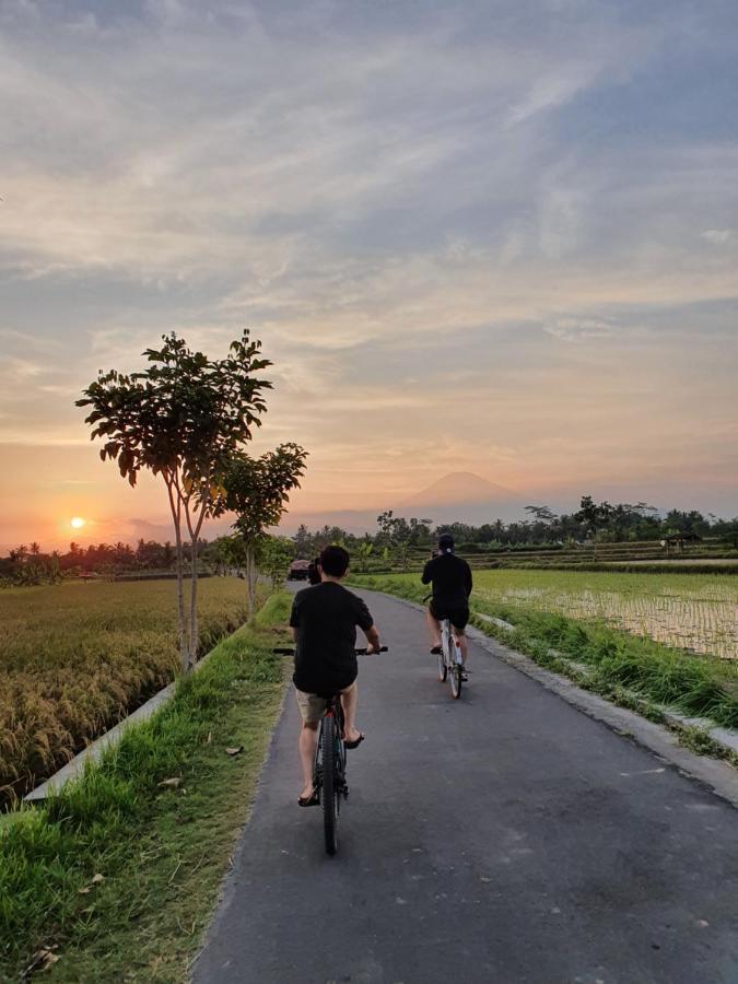 Borobudur Bed & Breakfast 마겔랑 외부 사진