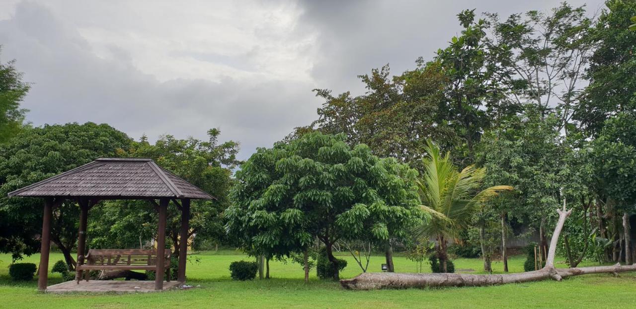 Borobudur Bed & Breakfast 마겔랑 외부 사진
