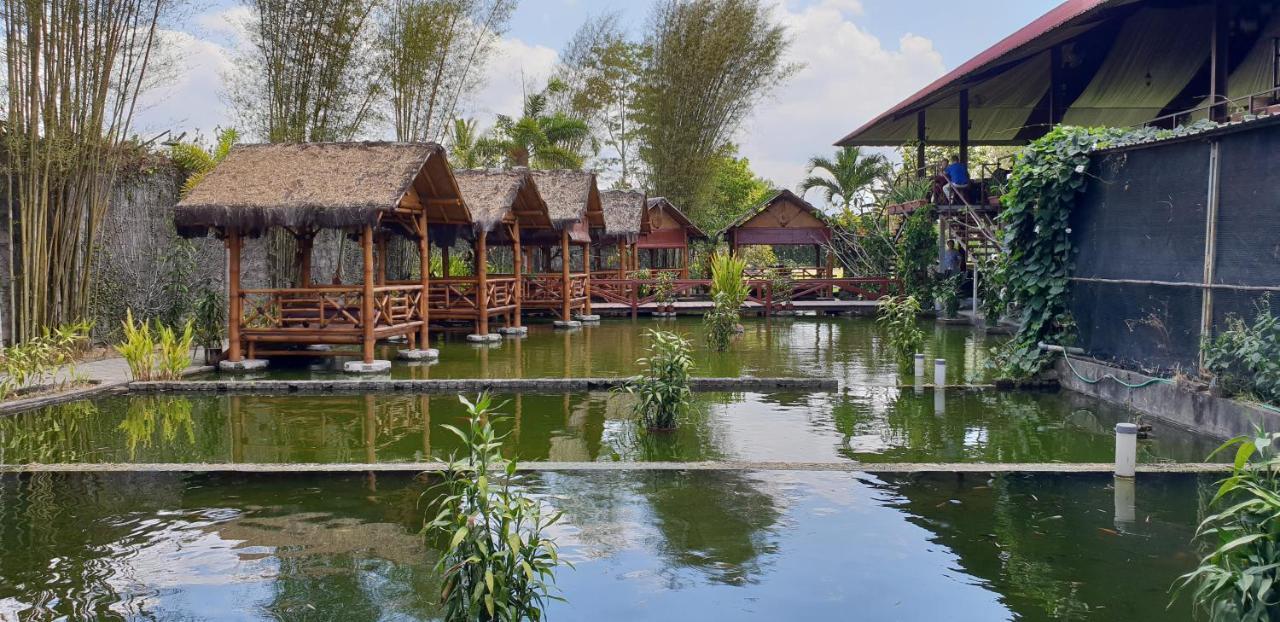 Borobudur Bed & Breakfast 마겔랑 외부 사진