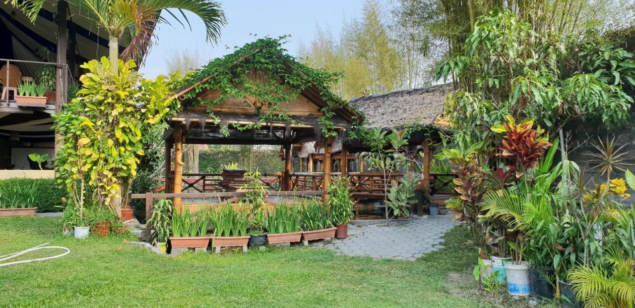 Borobudur Bed & Breakfast 마겔랑 외부 사진